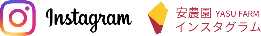 安農園インスタグラム